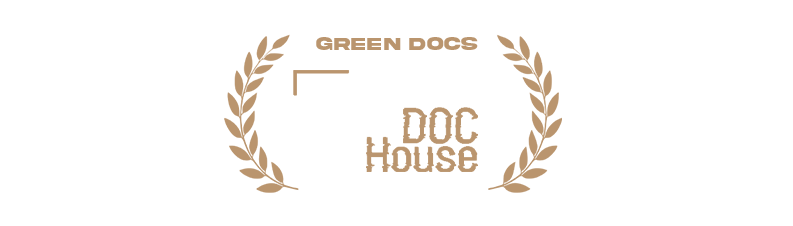 Logo 4